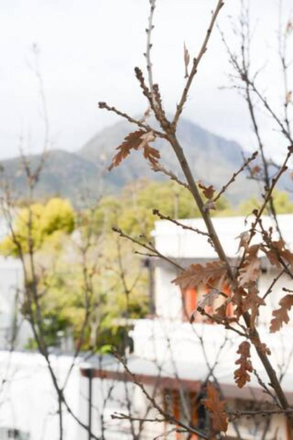 Church Street Luxury Apartments Stellenbosch Exterior foto